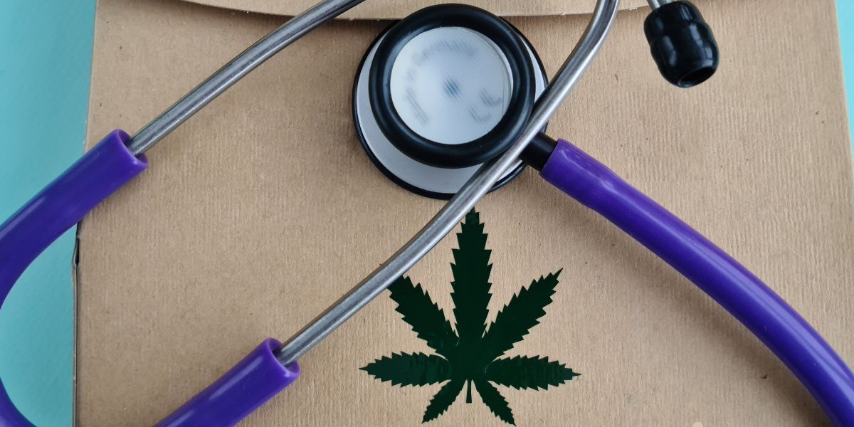 Importação de Cannabis Medicinal: Direitos do paciente segundo a legislação brasileira
