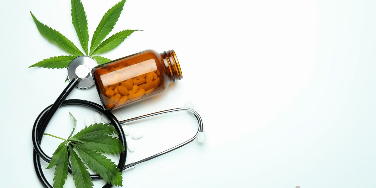 O que é a Blis e como ela facilita o acesso à cannabis medicinal?